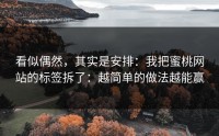 看似偶然，其实是安排：我把蜜桃网站的标签拆了：越简单的做法越能赢