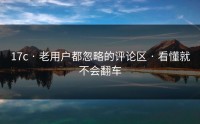 17c · 老用户都忽略的评论区 · 看懂就不会翻车