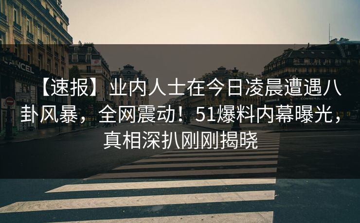 【速报】业内人士在今日凌晨遭遇八卦风暴，全网震动！51爆料内幕曝光，真相深扒刚刚揭晓